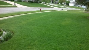 Uneven Fertilizer Application