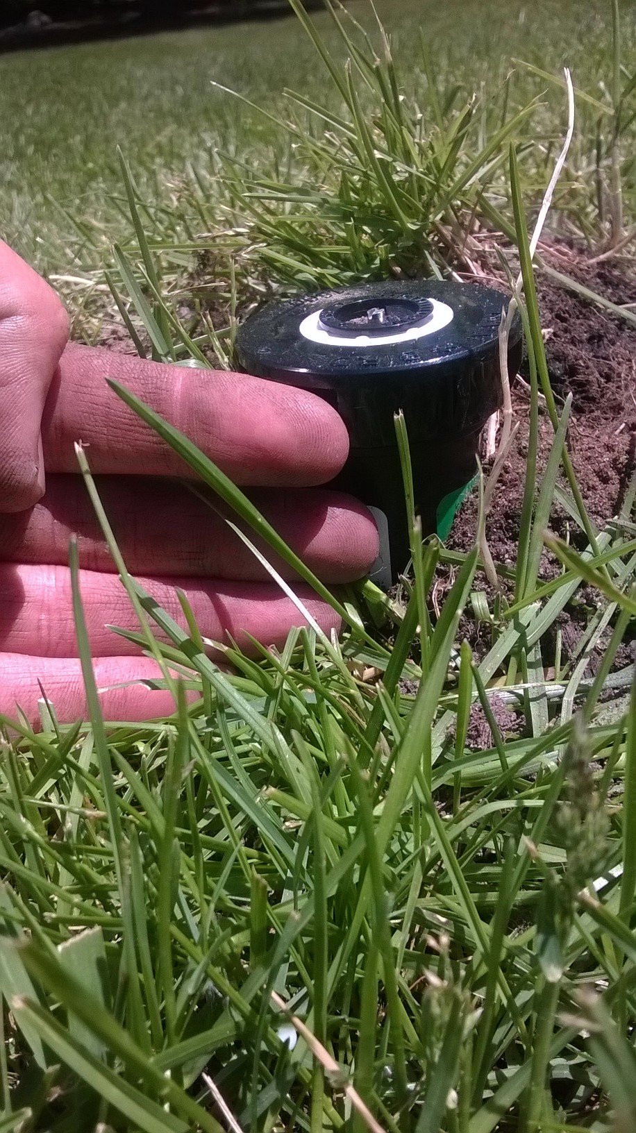 Sprinkler Height Harkes Landscape Management, LLC